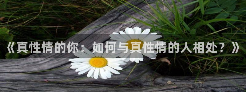 诱敌深入包子漫画：《真性情的你：如何与真性情的人相处？》