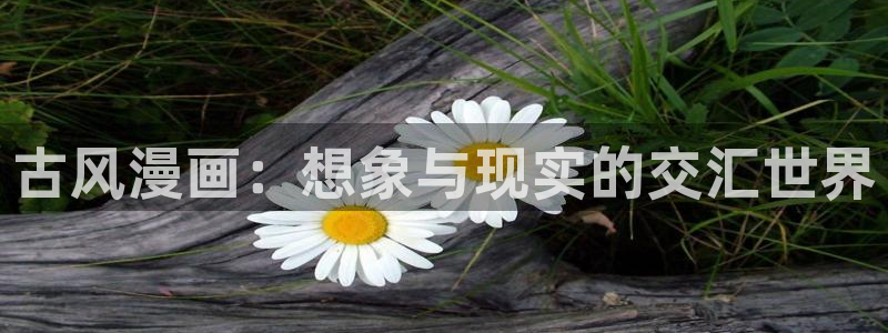 我可不跟你去苞米地包子漫画免费漫画：古风漫画：想象与现实的交汇世界